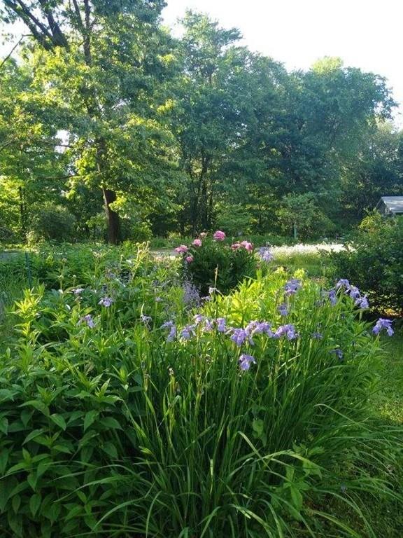 19 Chapel Road Amherst, MA 01002 - Photo 34 of 36