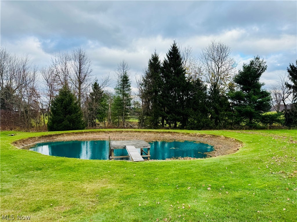 2990 Randolph Road Mogadore, OH 44260 - Photo 2 of 28 View of pond