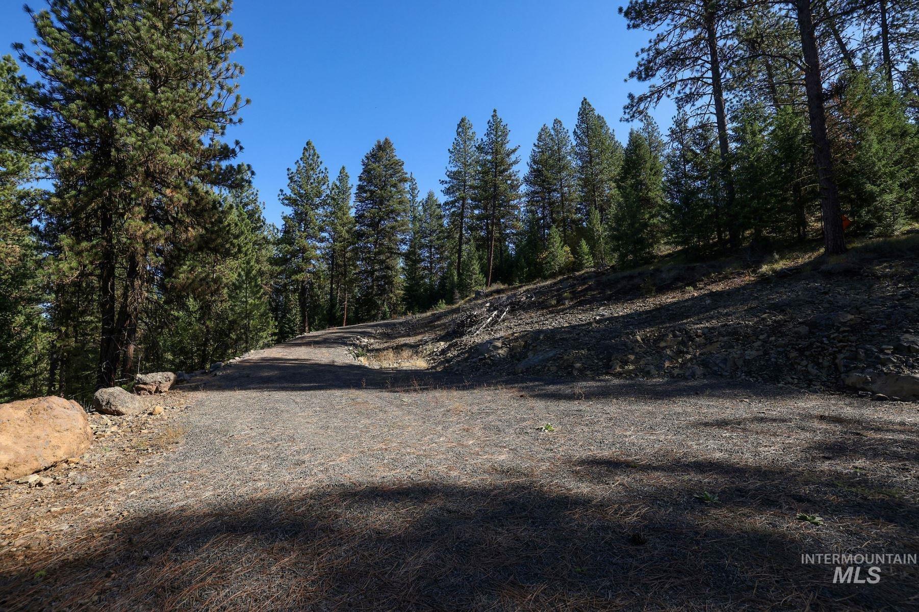 Lot 22 Rim Road New Meadows, ID 83654 - Photo 42 of 49