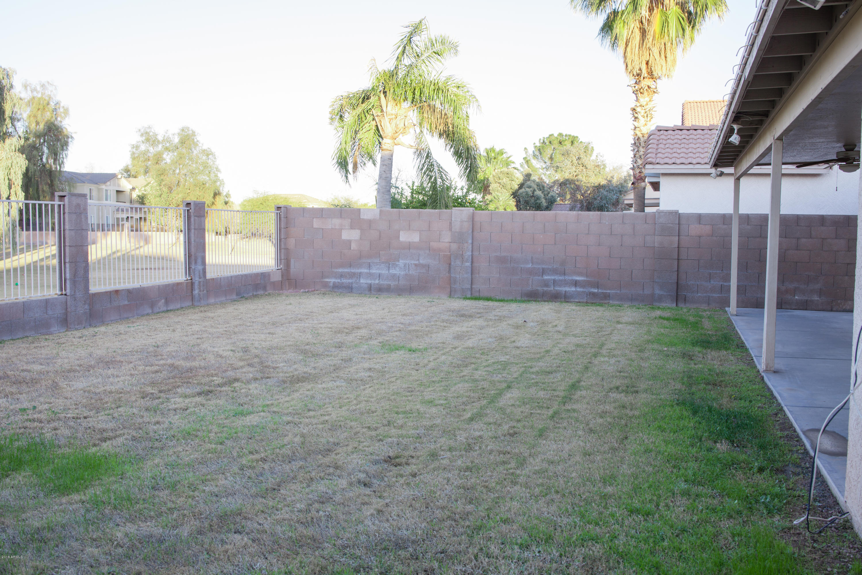 342 East Nunneley Road Gilbert, AZ 85296 - Photo 18 of 21 Backyard 4