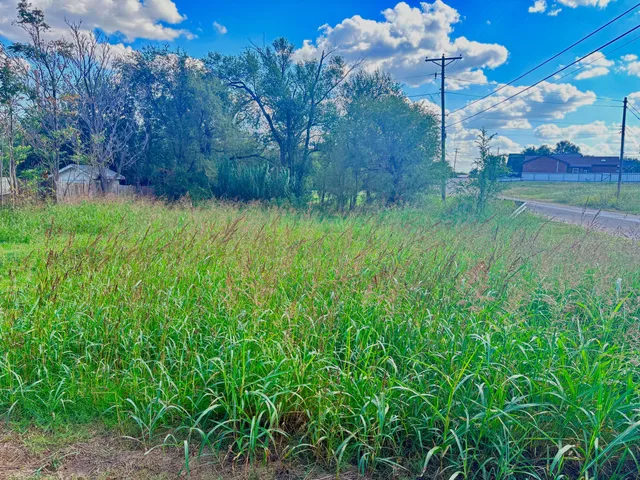 $2,000 | 201 Oak Street, Borger, TX 79007