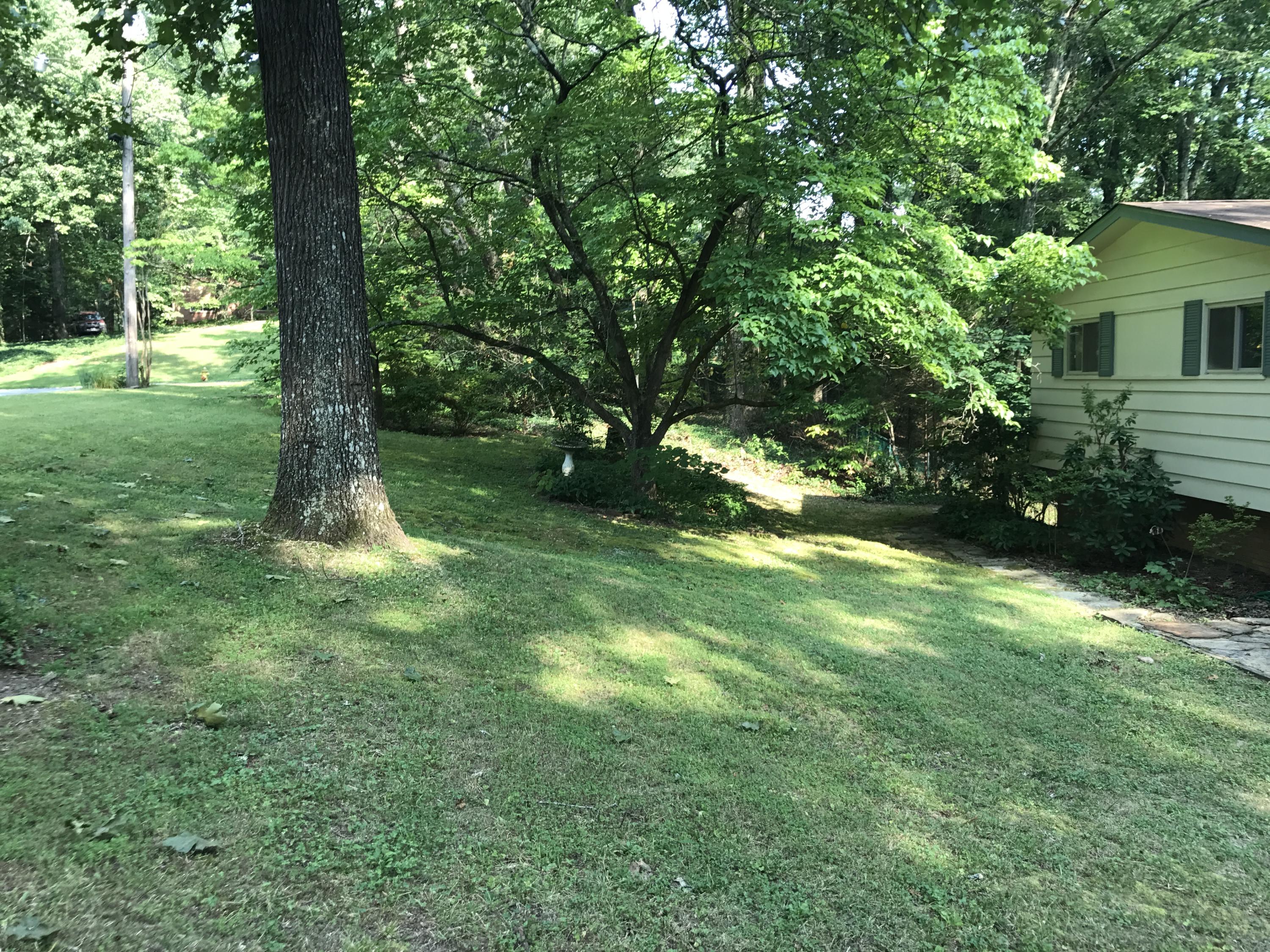 121 Morningside Drive Oak Ridge, TN 37830 - Photo 16 of 26 IMG_2444