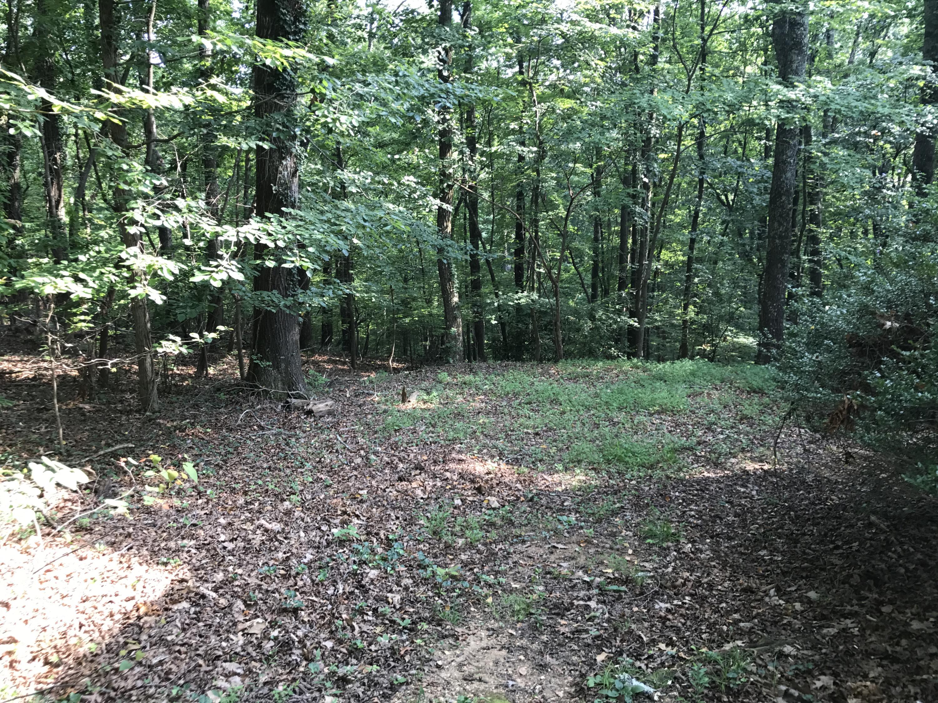 121 Morningside Drive Oak Ridge, TN 37830 - Photo 20 of 26 IMG_2450