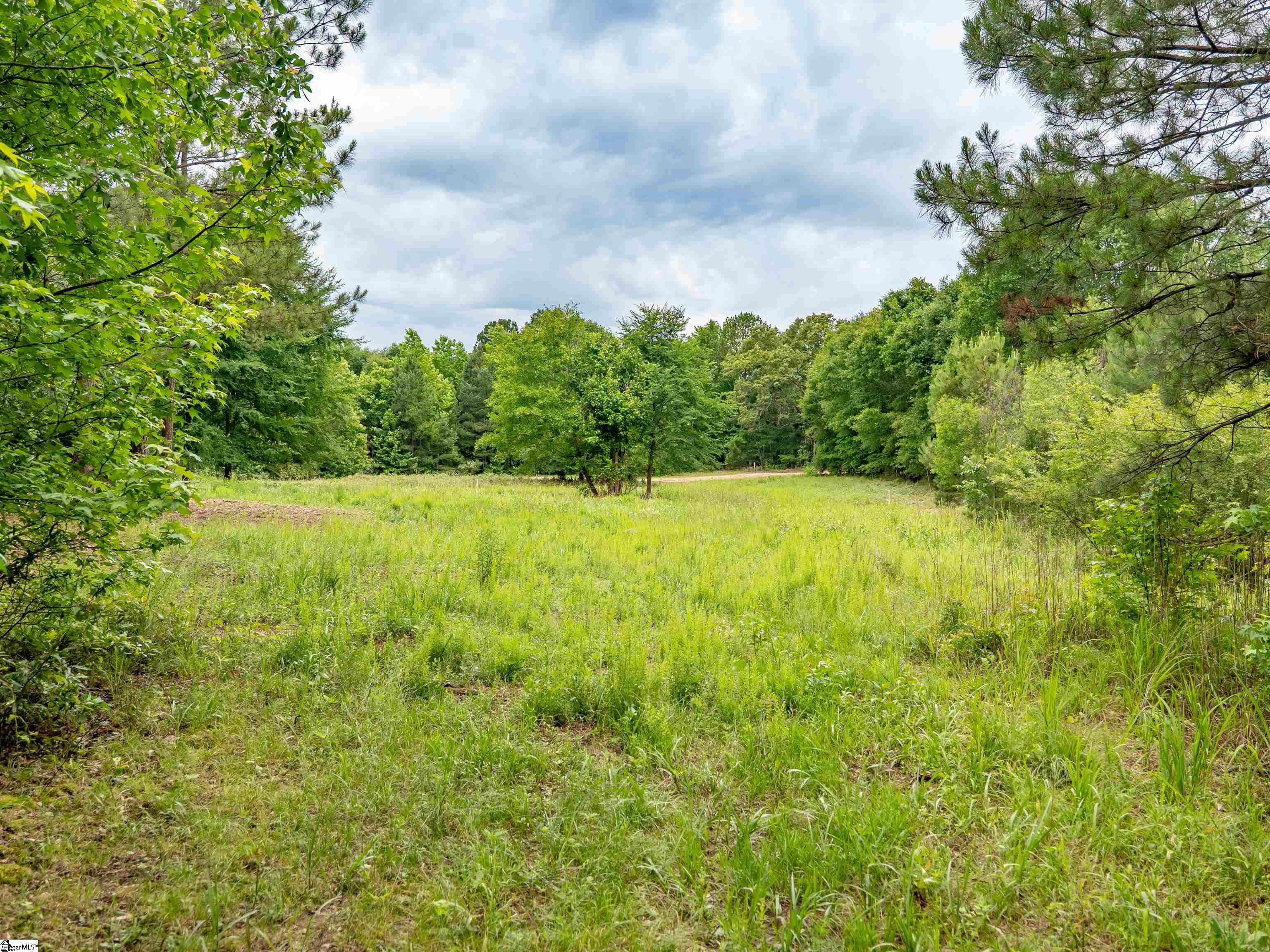 0 Terry Road, Unit LOT 7 Fountain Inn, SC 29644 - Photo 19 of 32 Gallery Image 19