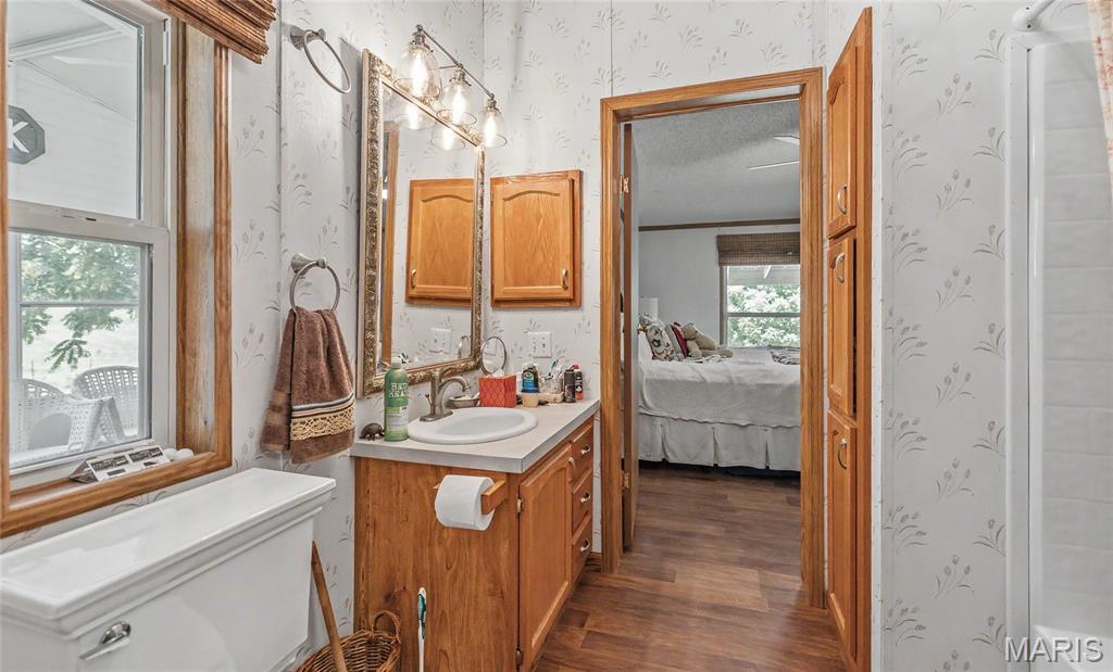 171 Czar Tower Road Steelville, MO 65565 - Photo 27 of 54