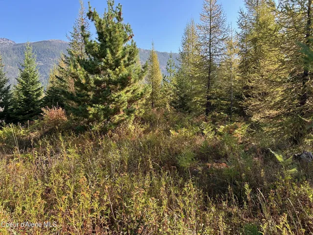 $168,500 | 2294 Clark Fork, Clark Fork, ID 83811