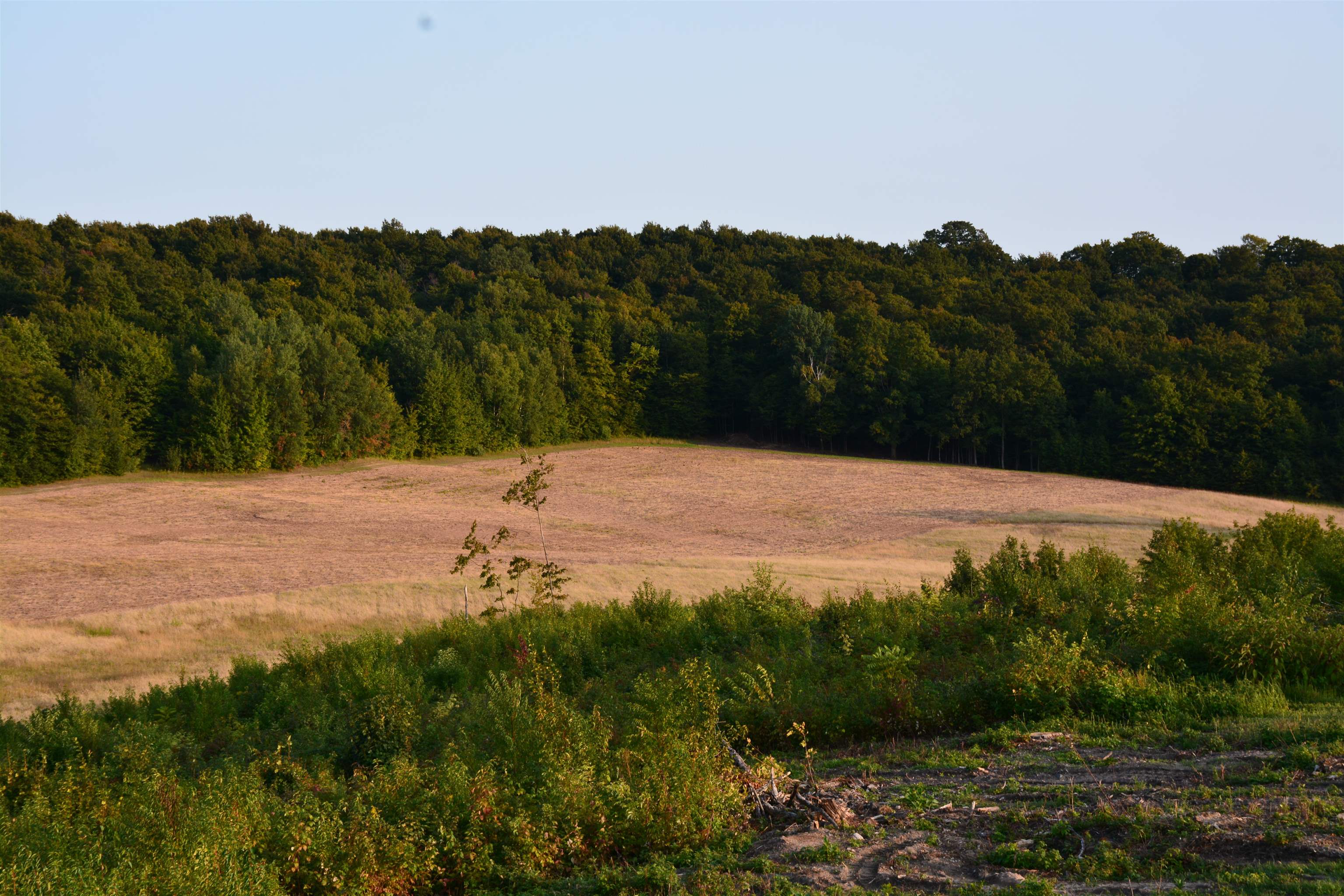 8010 East Horn Road Suttons Bay, MI 49682 - Photo 16 of 24 Gallery Image 16