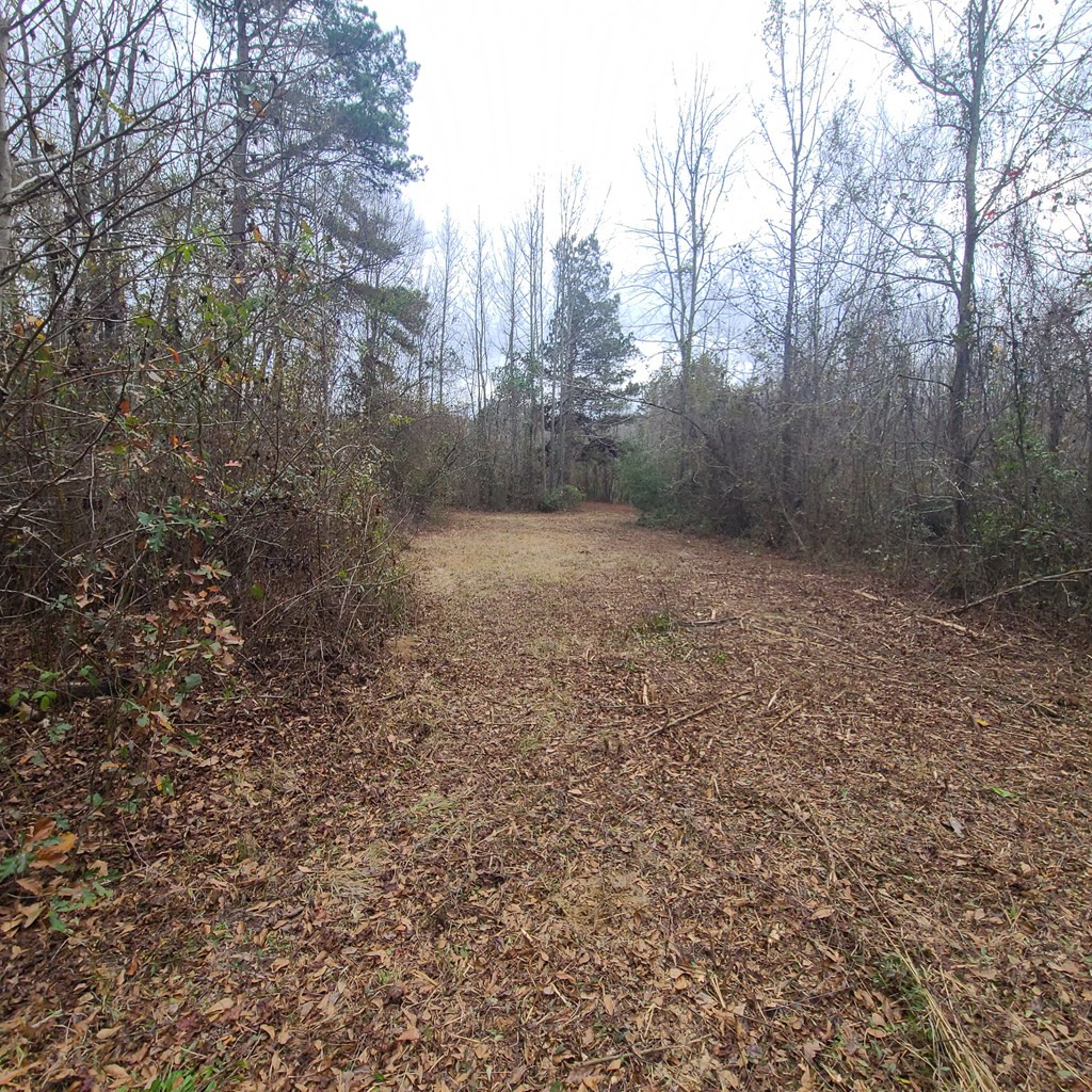 600 Main Street Jackson, SC 29831 - Photo 15 of 28