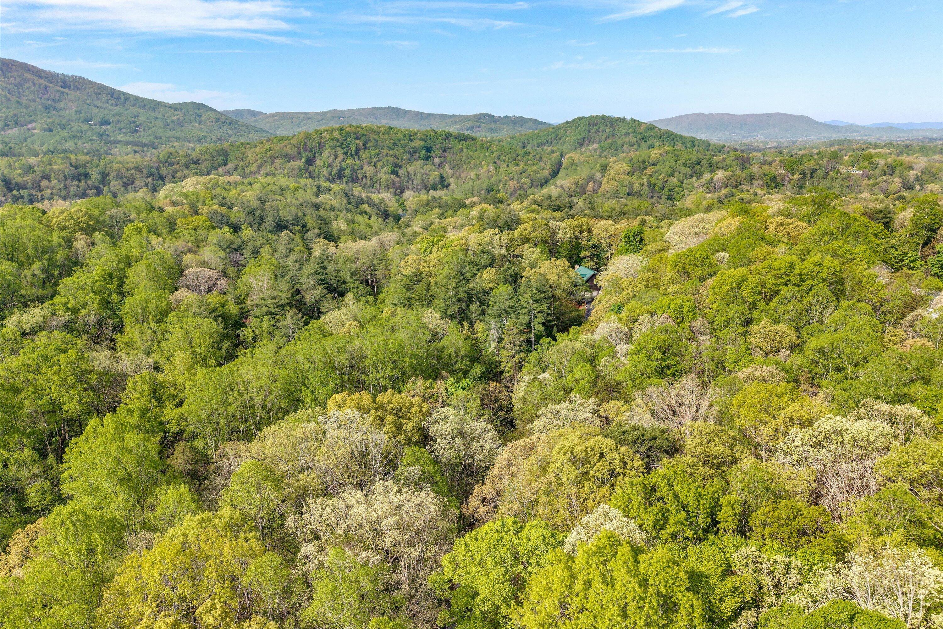 Lot 2 Winding Timber Lane Vinton, VA 24179 - Photo 12 of 17 12-SGP-20260416101103