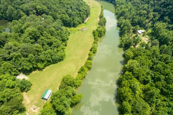 a view of a lush green forest with a lake view