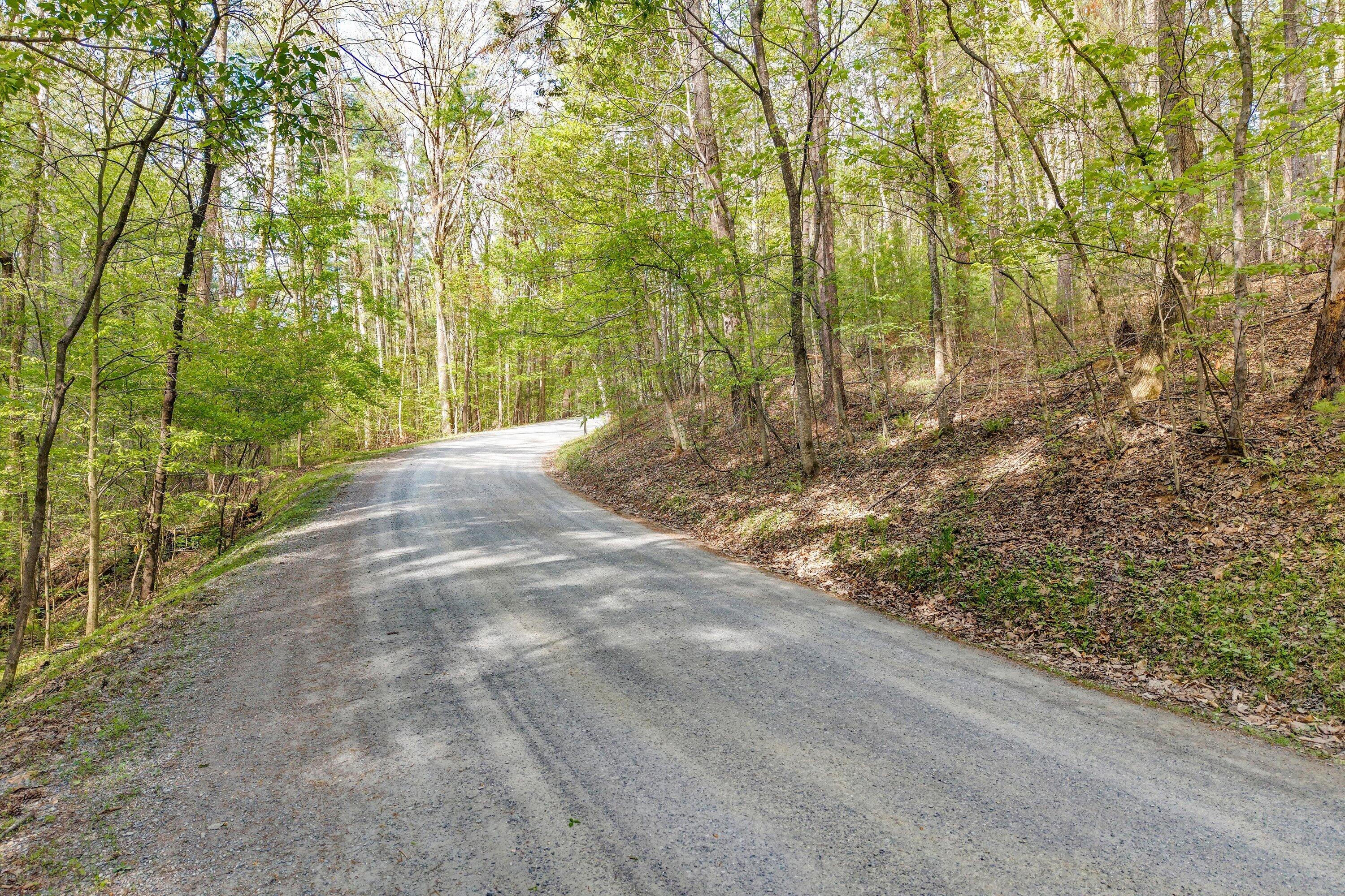 Lot 2 Winding Timber Lane Vinton, VA 24179 - Photo 3 of 17 03-SGP-20260416100443