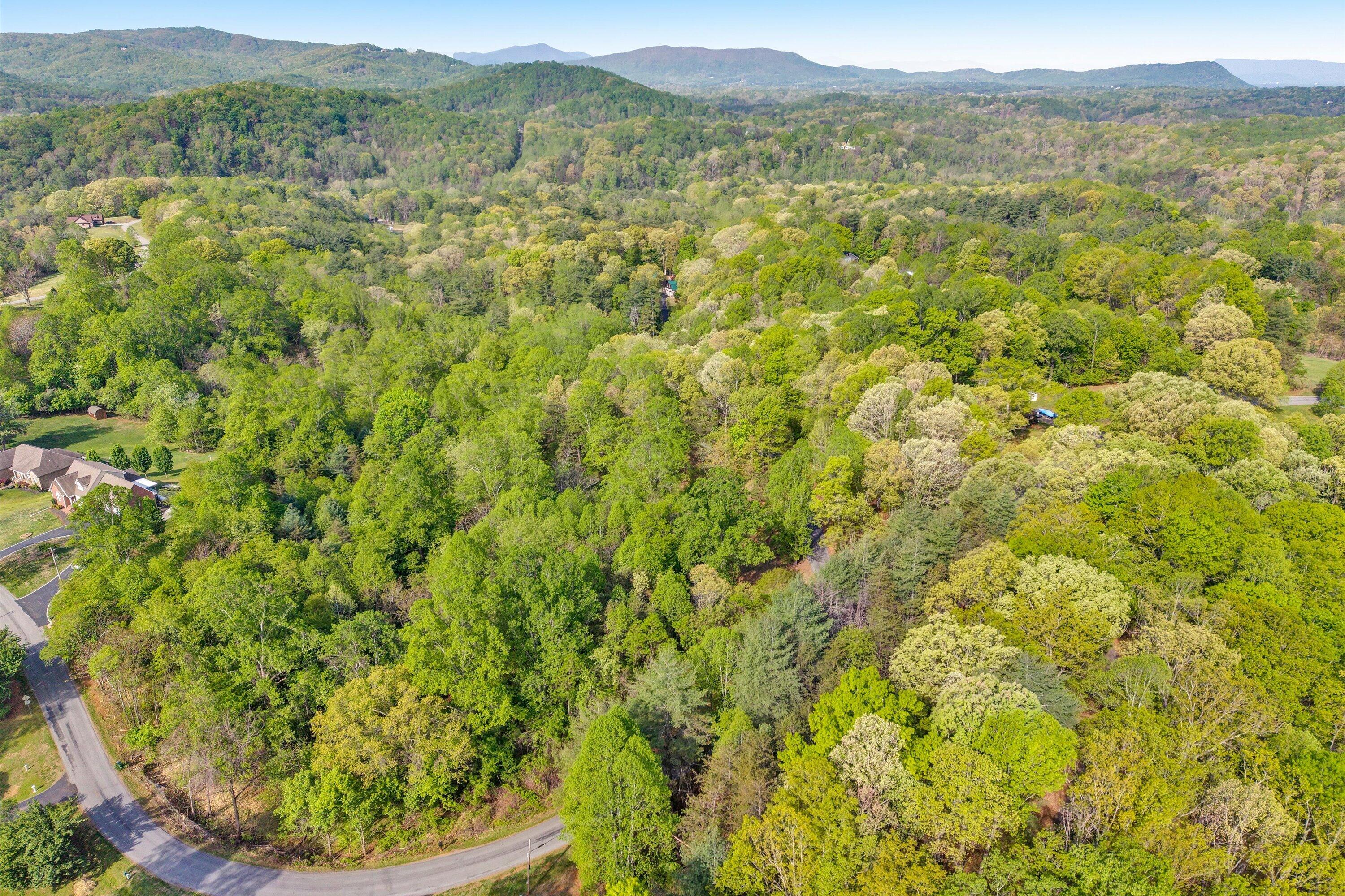 Lot 2 Winding Timber Lane Vinton, VA 24179 - Photo 4 of 17 04-SGP-20260416100620