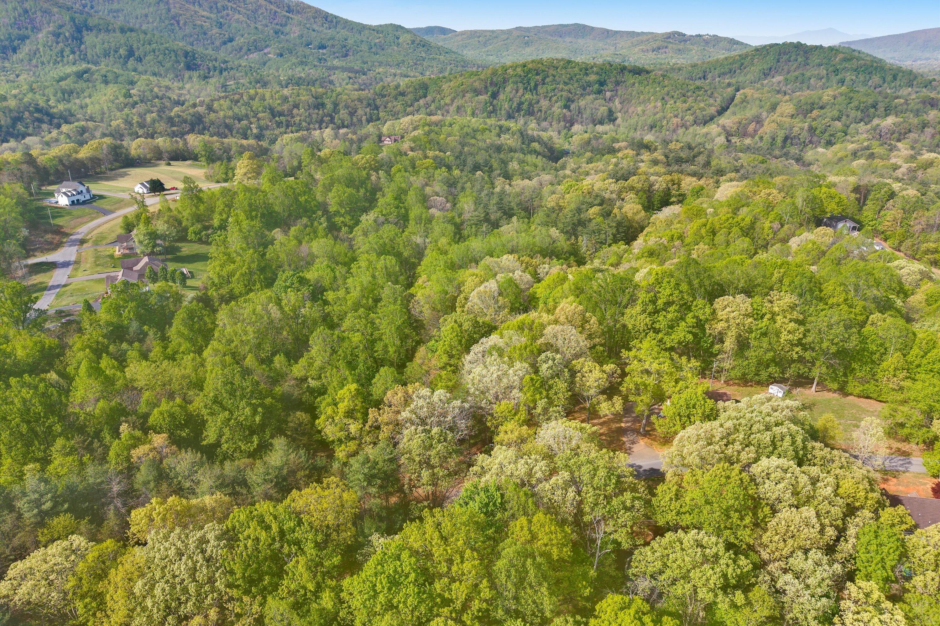 Lot 2 Winding Timber Lane Vinton, VA 24179 - Photo 5 of 17 05-SGP-20260416100648