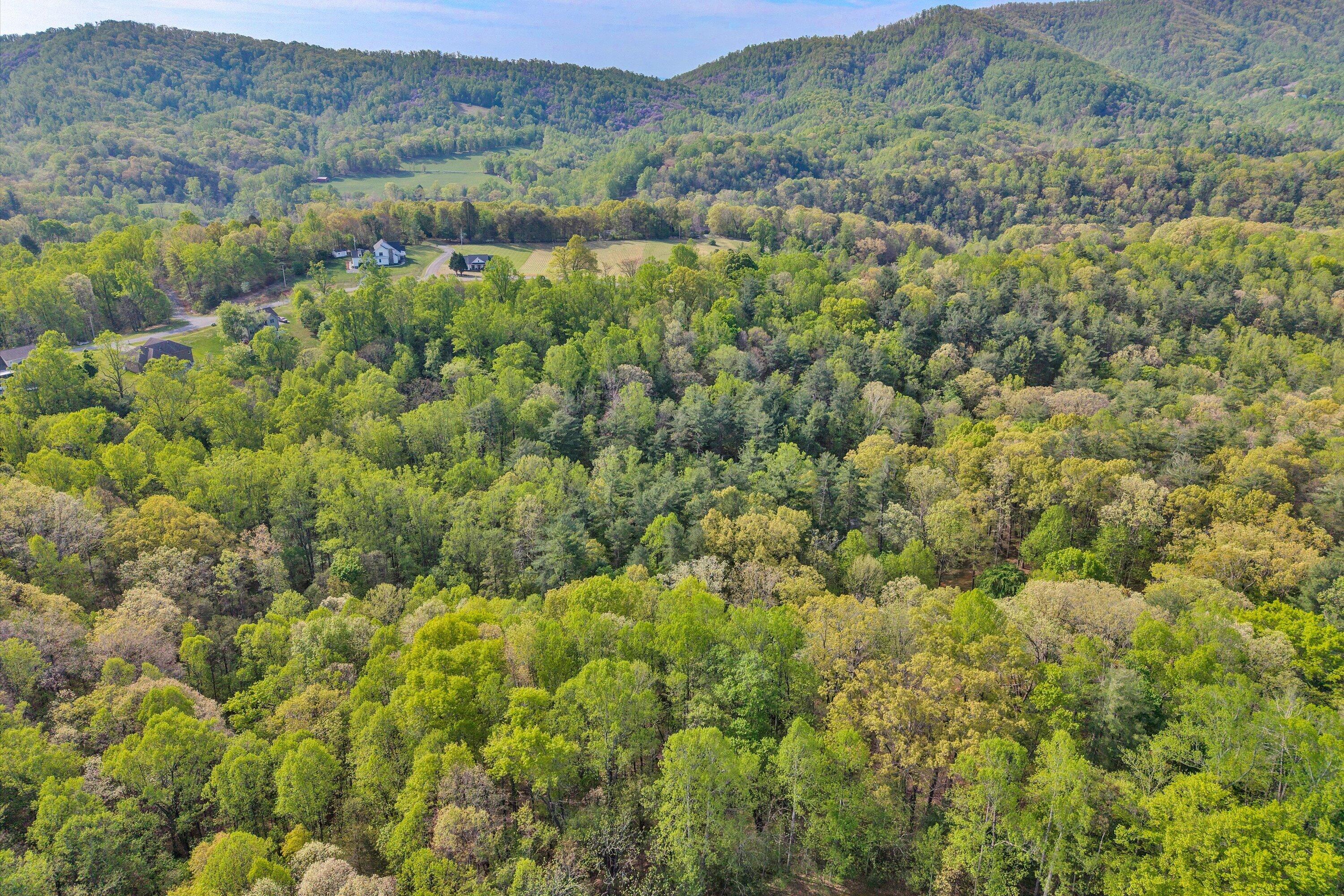 Lot 2 Winding Timber Lane Vinton, VA 24179 - Photo 6 of 17 06-SGP-20260416100735
