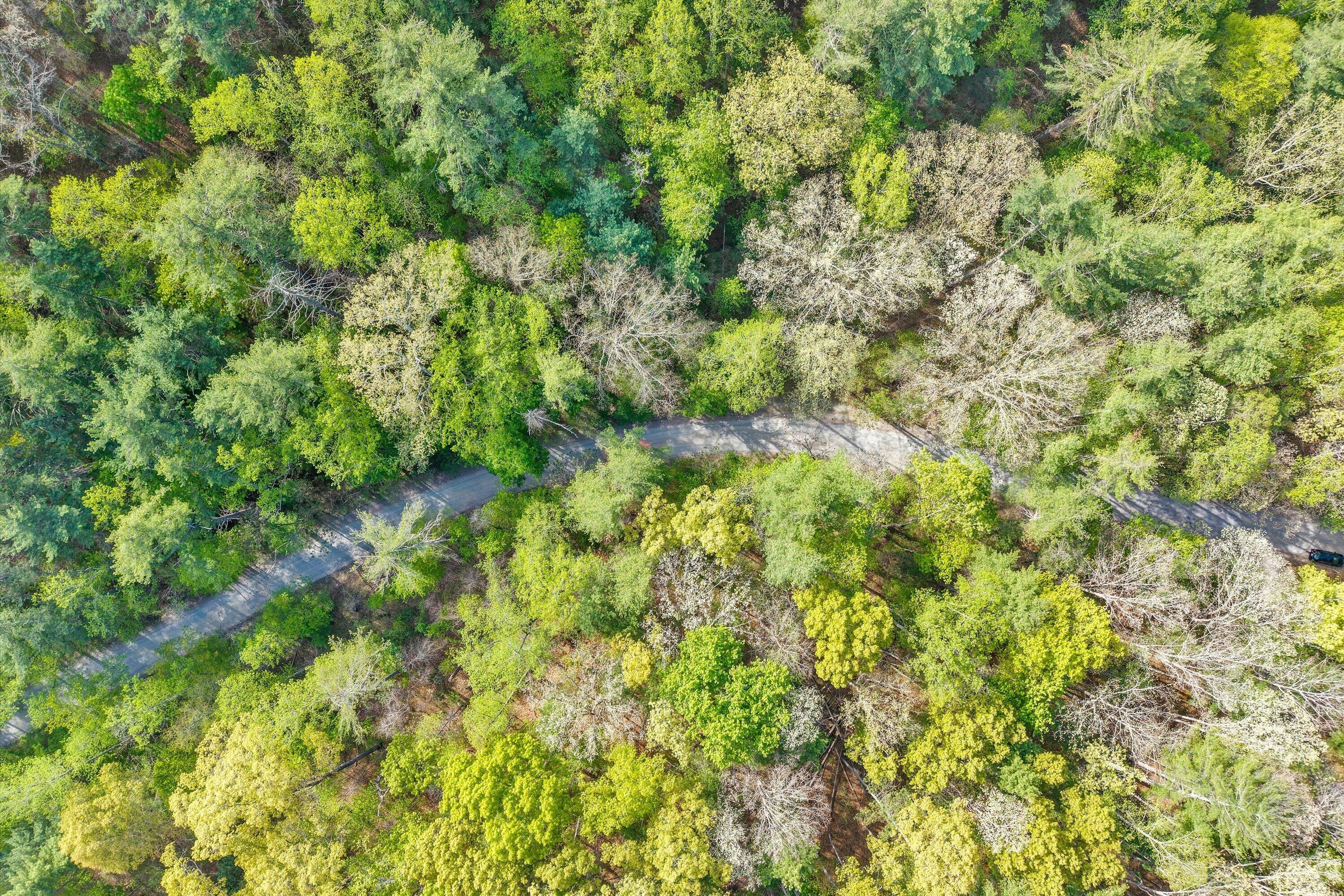 Lot 2 Winding Timber Lane Vinton, VA 24179 - Photo 7 of 17 07-SGP-20260416100812