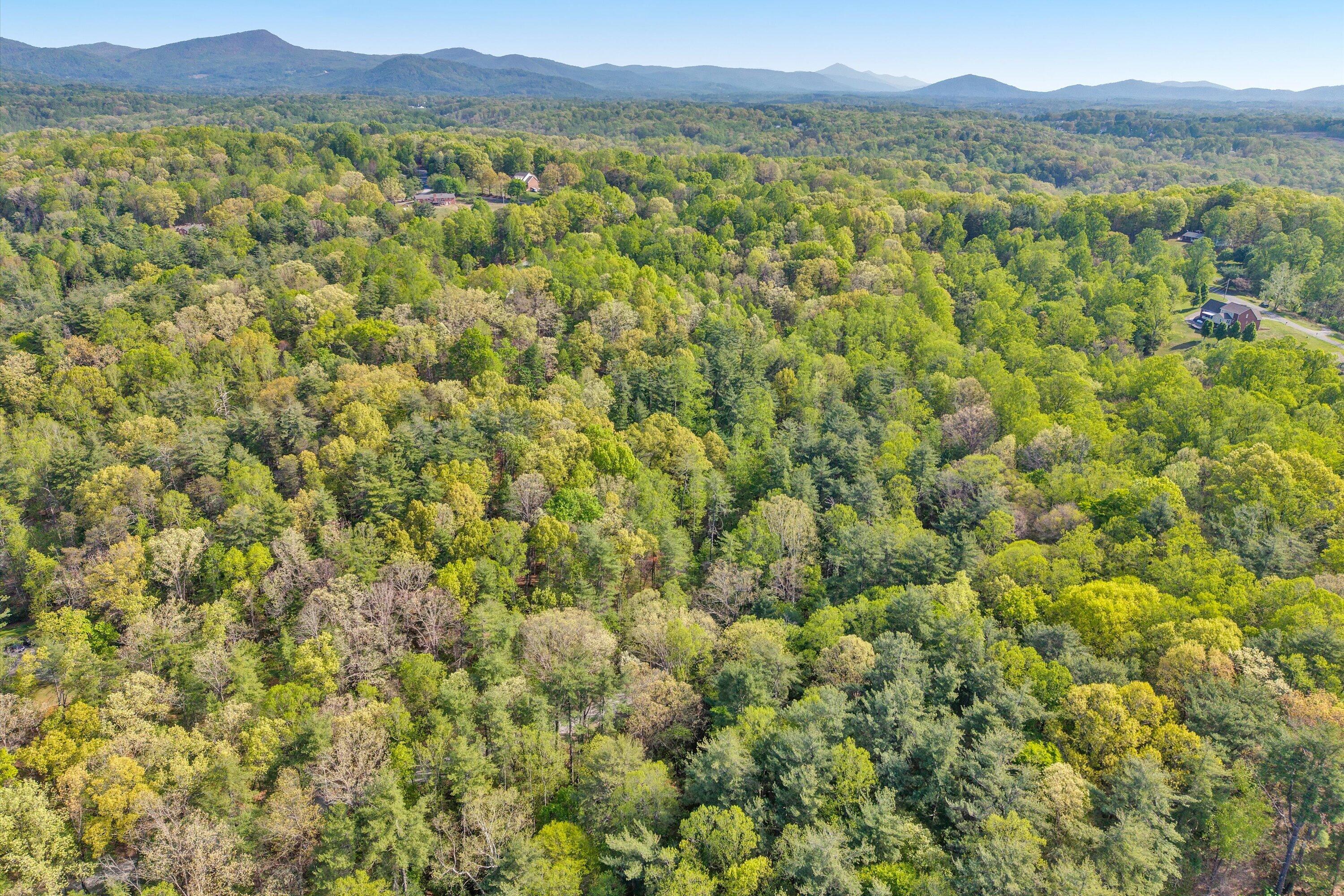 Lot 2 Winding Timber Lane Vinton, VA 24179 - Photo 8 of 17 08-SGP-20260416100846