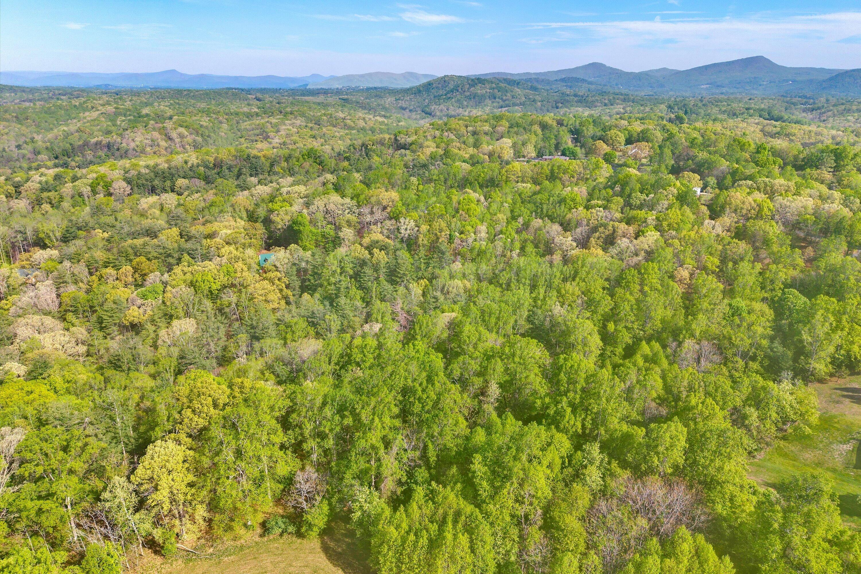 Lot 2 Winding Timber Lane Vinton, VA 24179 - Photo 9 of 17 09-SGP-20260416100914