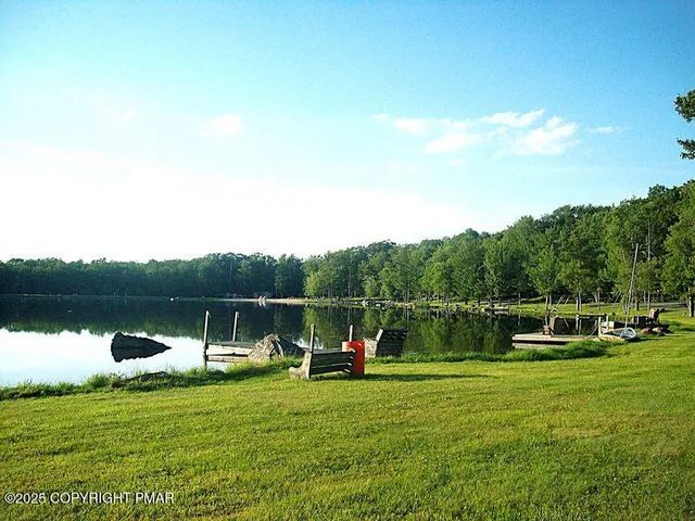 a view of a park with trees and a trees