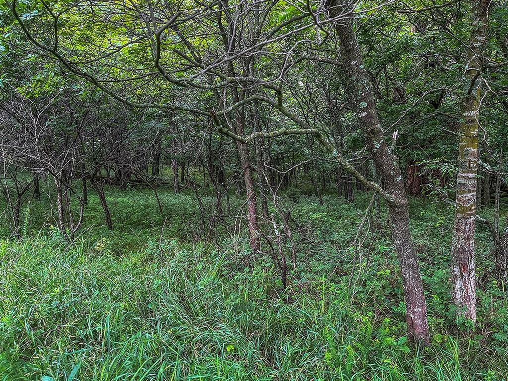Tbd Road Rich Hill, MO 64779 - Photo 19 of 19