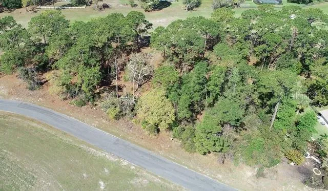 a view of a forest from a window