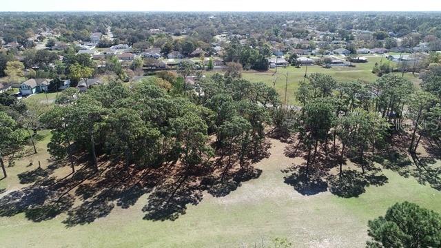 5339 Keysville Avenue Spring Hill, FL 34608 - Photo 2 of 5 a view of a forest with a lake view