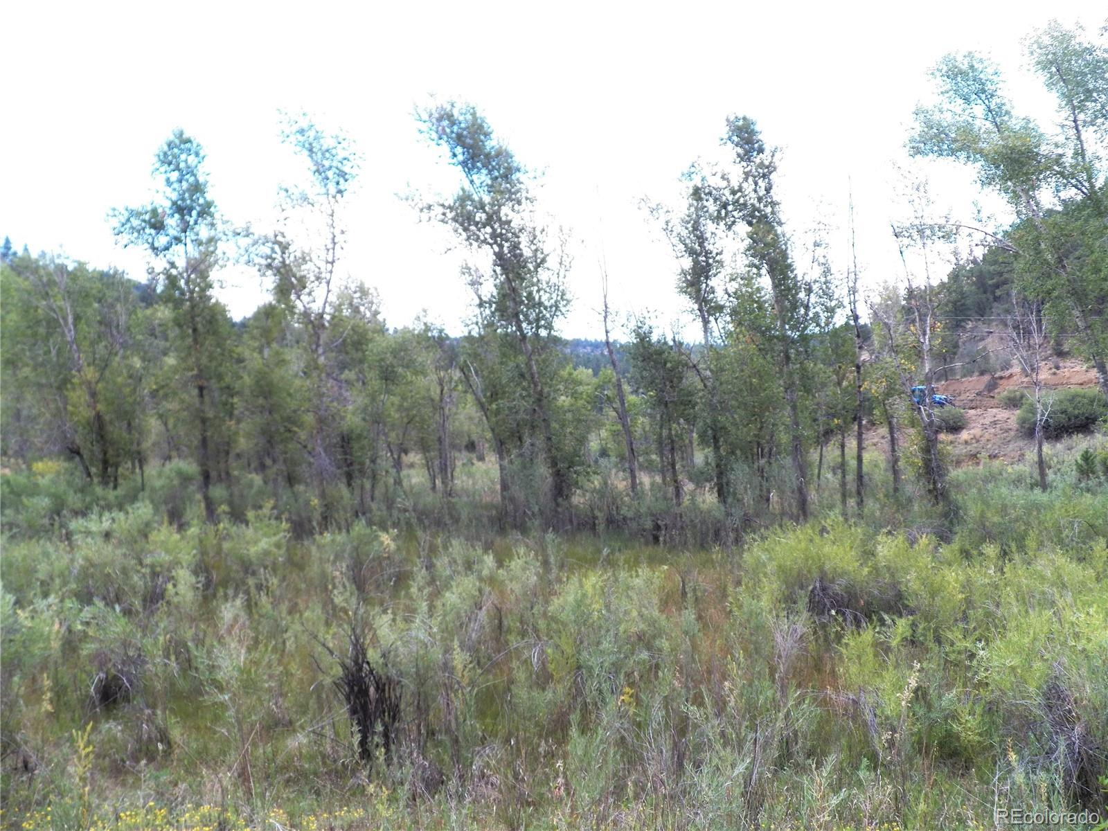 31.9 Co Road Weston, CO 81091 - Photo 8 of 36 Gallery Image 8