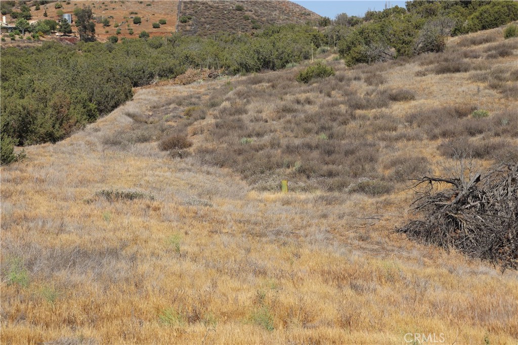 0 Hanawalt Road Agua Dulce, CA 91390 - Photo 15 of 18