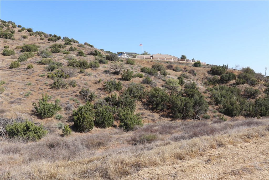 0 Hanawalt Road Agua Dulce, CA 91390 - Photo 17 of 18