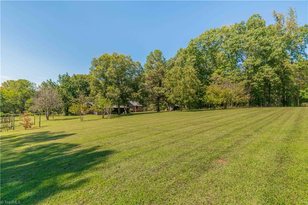 730 4 Brooks Road Winston-Salem, NC 27107 - Photo 8 of 48 Lush rolling pastures