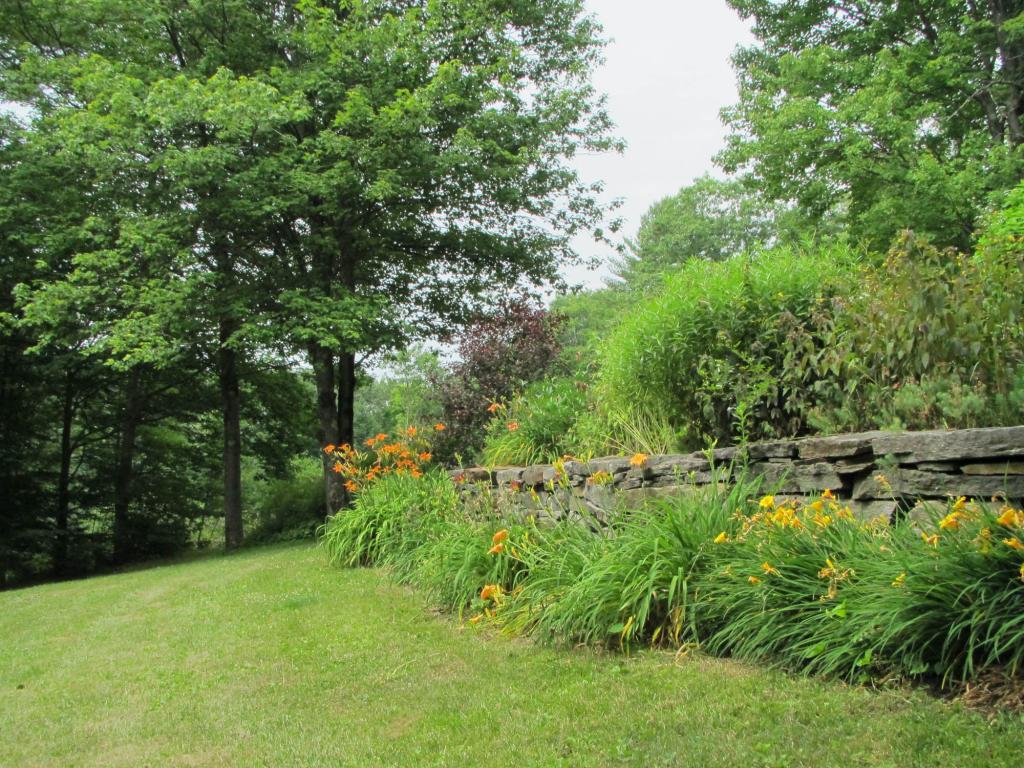 97 Old Ledge Road Westminster, VT 05346 - Photo 5 of 20