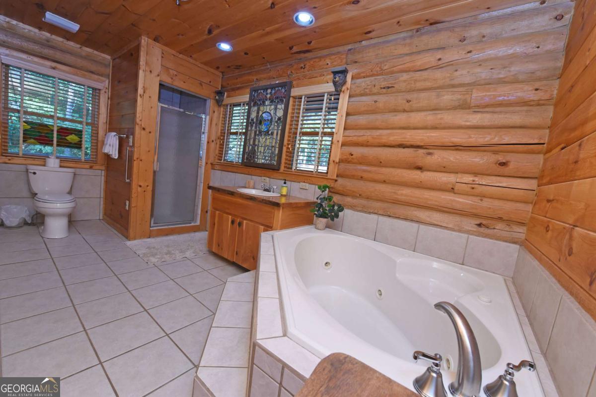 2682 Douthit Road Mineral Bluff, GA 30559 - Photo 43 of 60