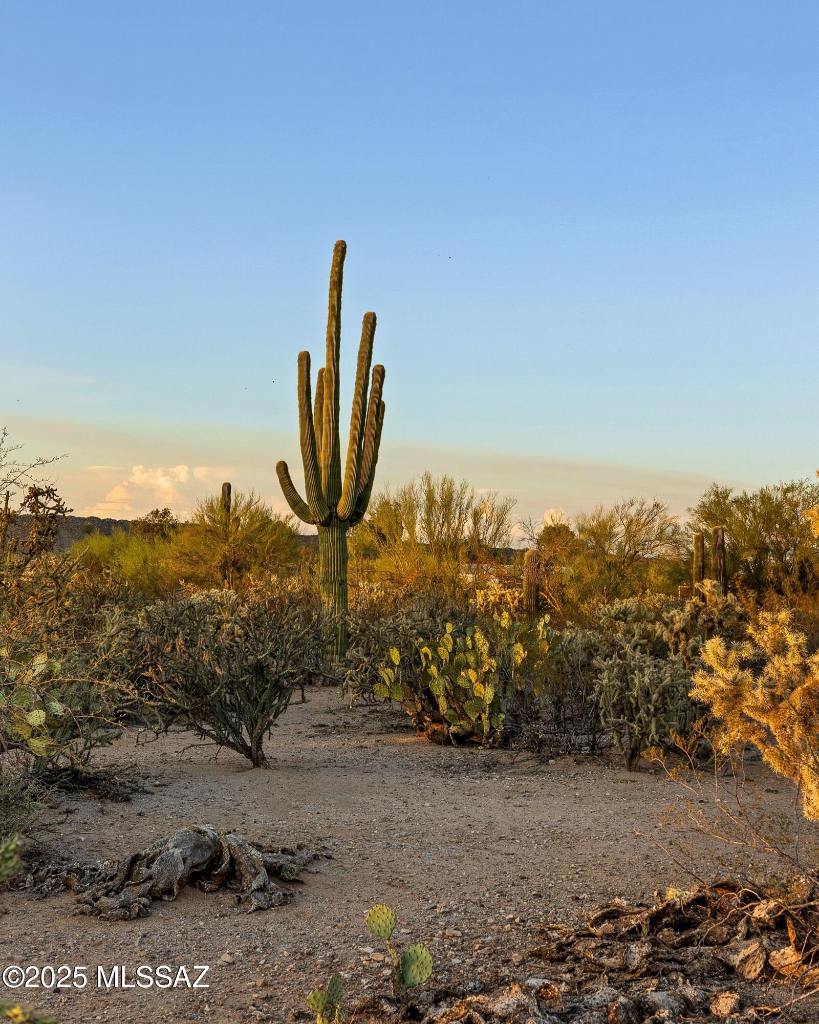 0 West Massingale Road Tucson, AZ 85743 - Photo 6 of 19