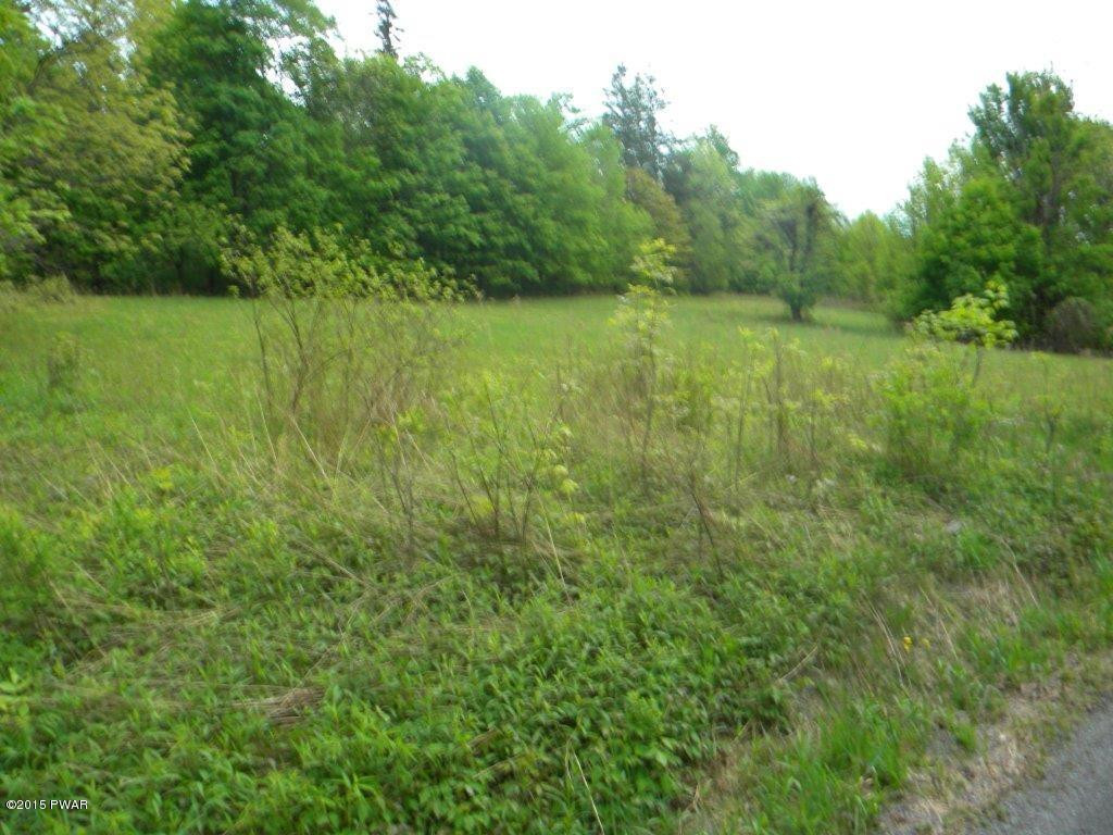 Silkman's Rd Lake Lake Ariel, PA 18436 - Photo 10 of 15