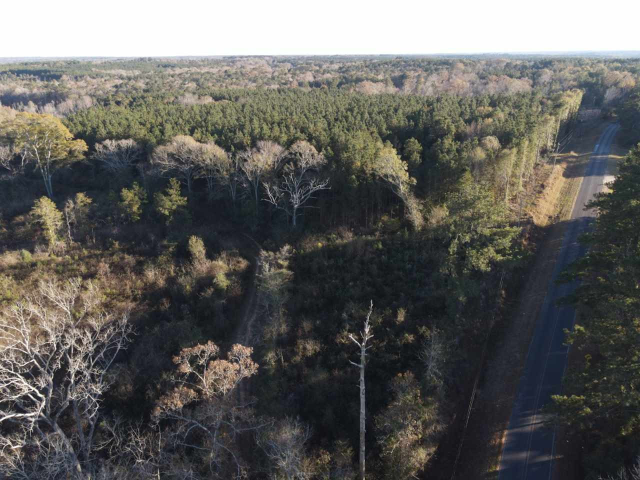 0 Athens Road Mendenhall, MS 39114 - Photo 4 of 25 Photo 4