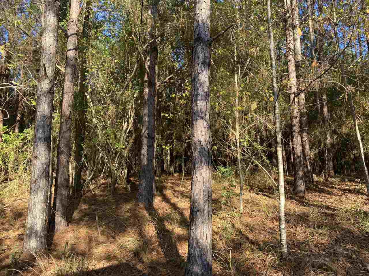 0 Athens Road Mendenhall, MS 39114 - Photo 6 of 25 Photo 6