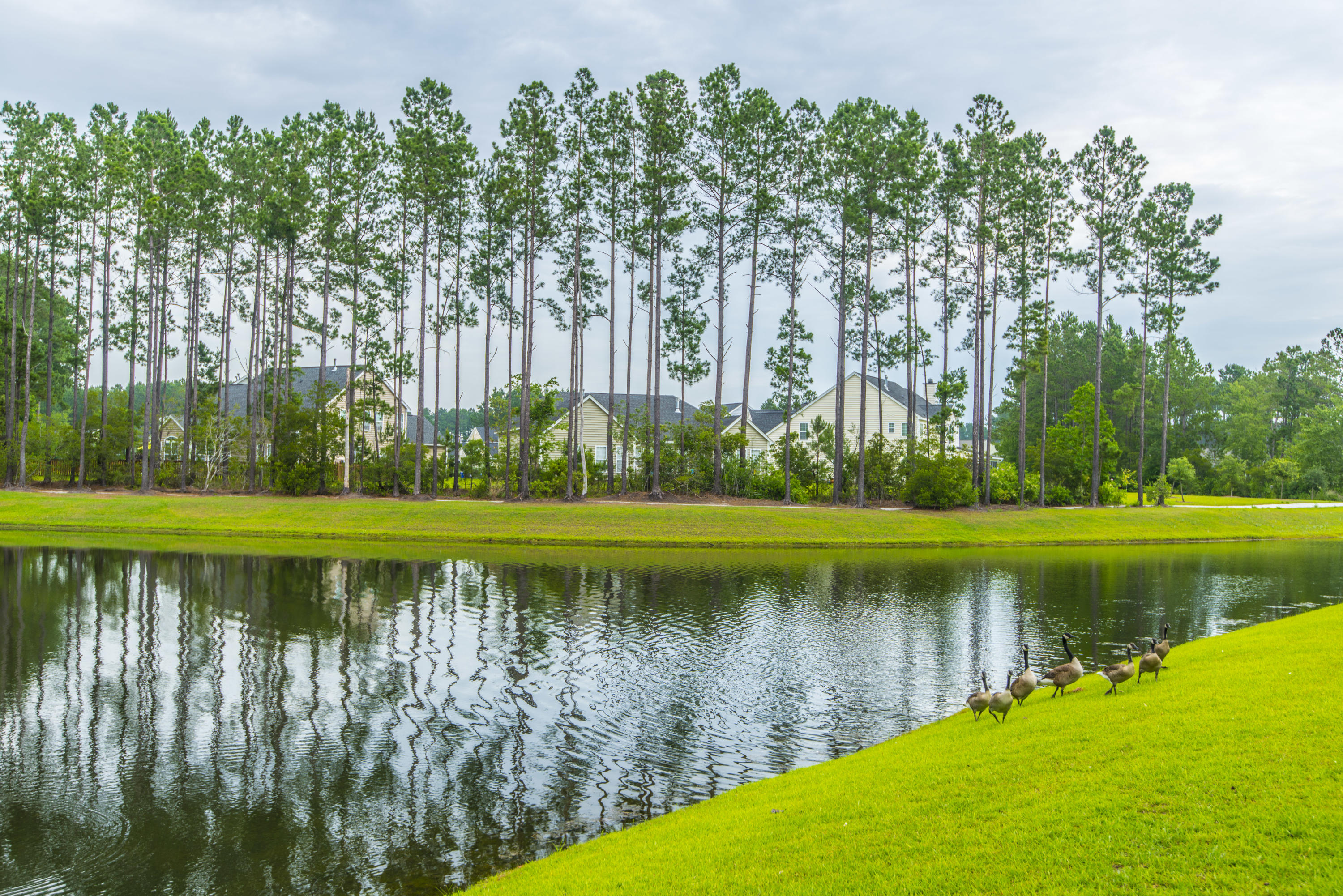 282 Decatur Drive Summerville, SC 29486 - Photo 52 of 59 _DSC7496