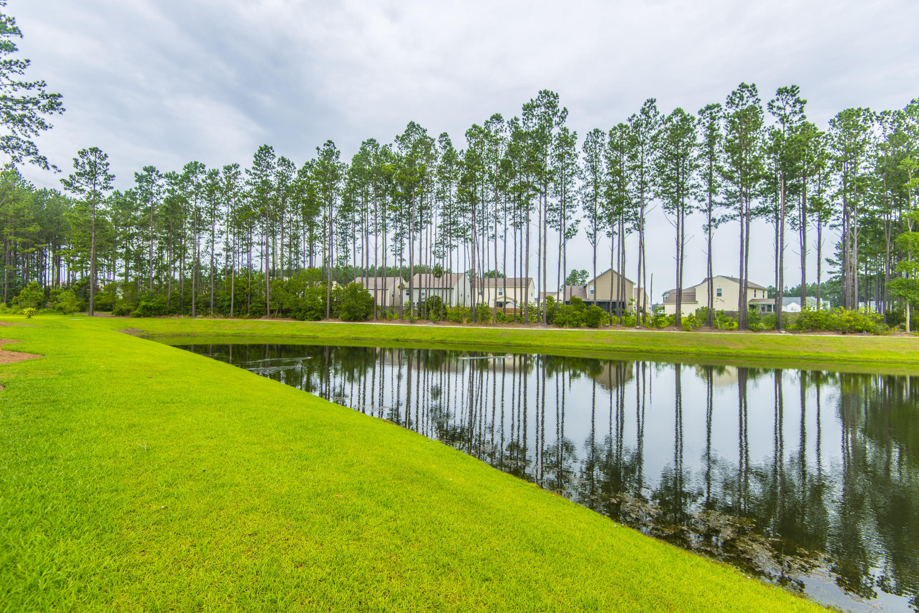 282 Decatur Drive Summerville, SC 29486 - Photo 53 of 59 _DSC7497