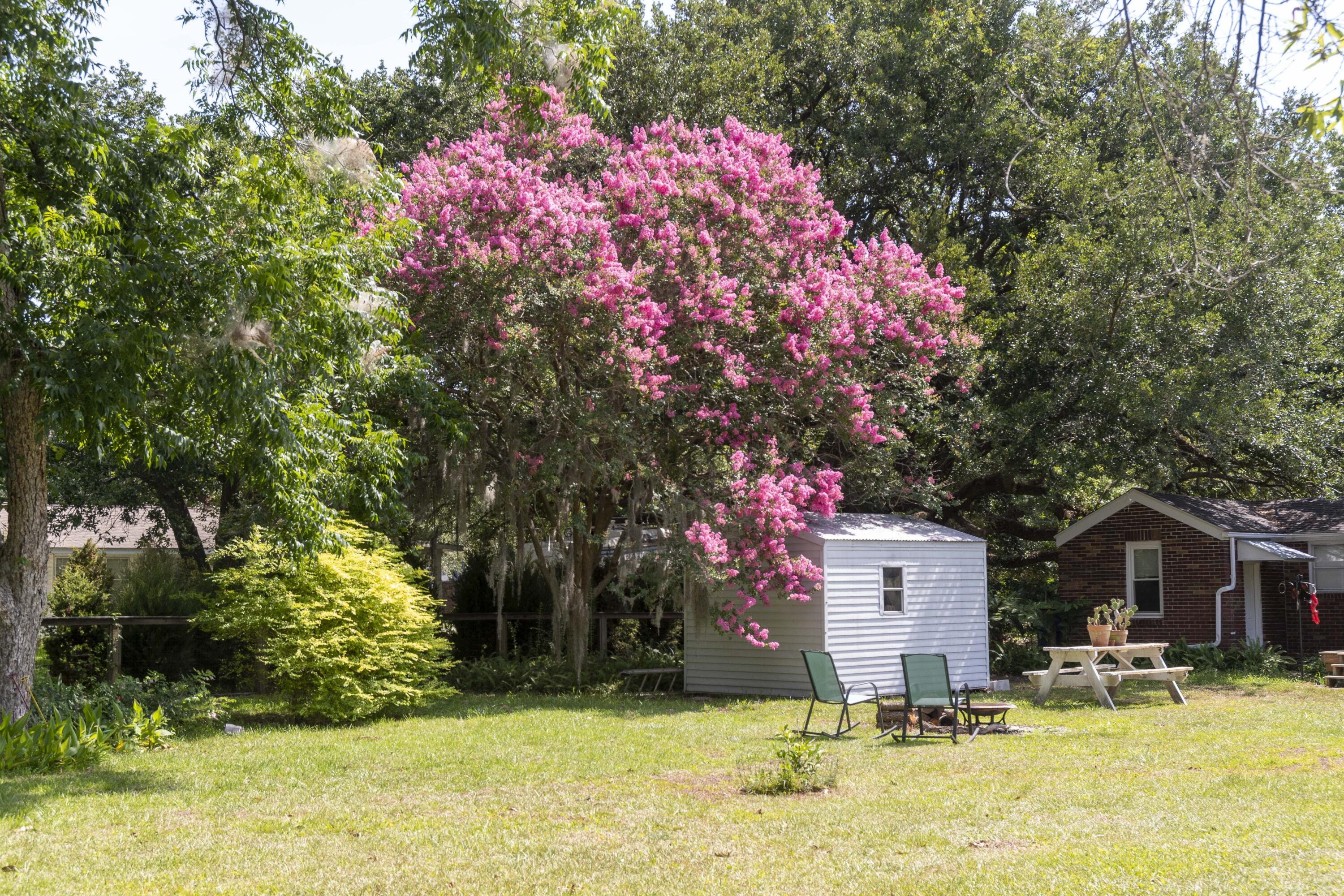 425 Wappoo Road Charleston, SC 29407 - Photo 90 of 95 425_WappooDrive_0090