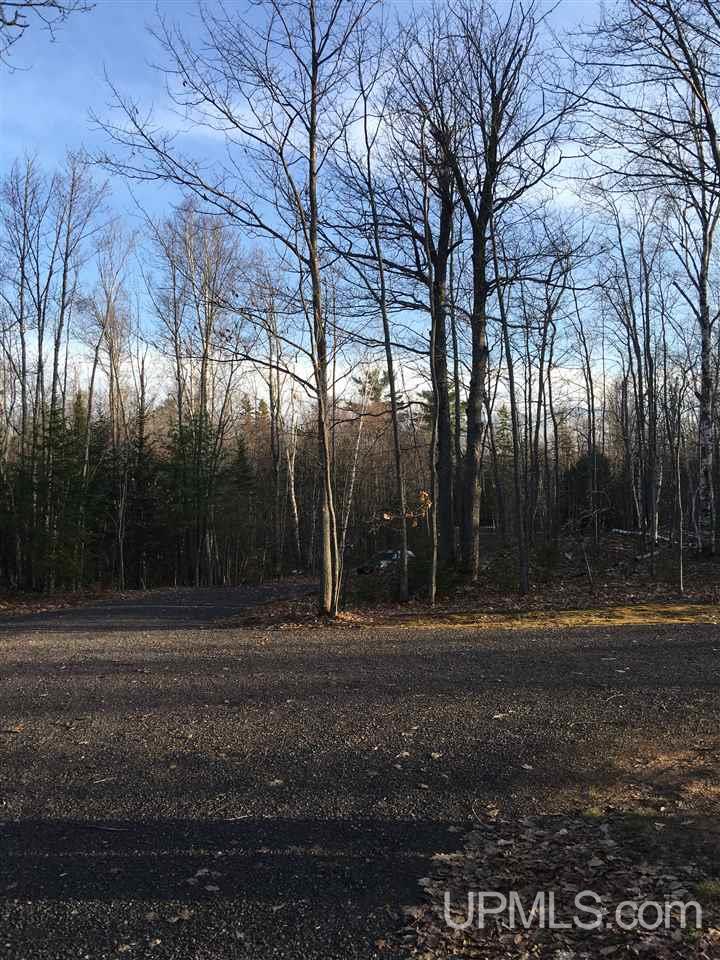 26470 East Grosse Pointe Shores Road Hancock, MI 49930 - Photo 27 of 34