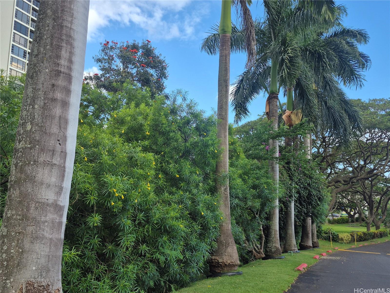 98-1042 Moanalua Road, Unit 2201 Aiea, HI 96701 - Photo 20 of 22