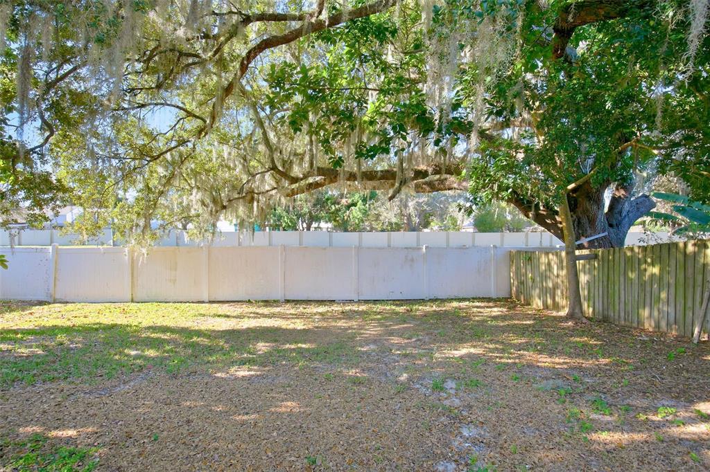 305 Abigail Road Plant City, FL 33563 - Photo 35 of 37 a view of a yard with a house