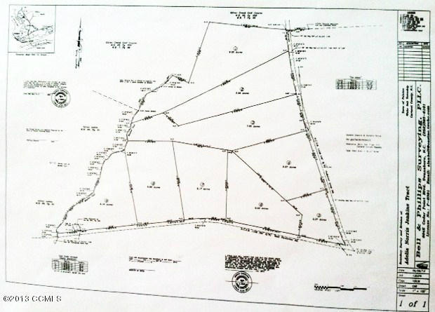 521 Peletier Loop Road Swansboro, NC 28584 - Photo 5 of 5 view of all tracts