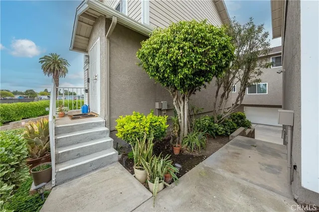 a plant is in front of a house with potted plants
