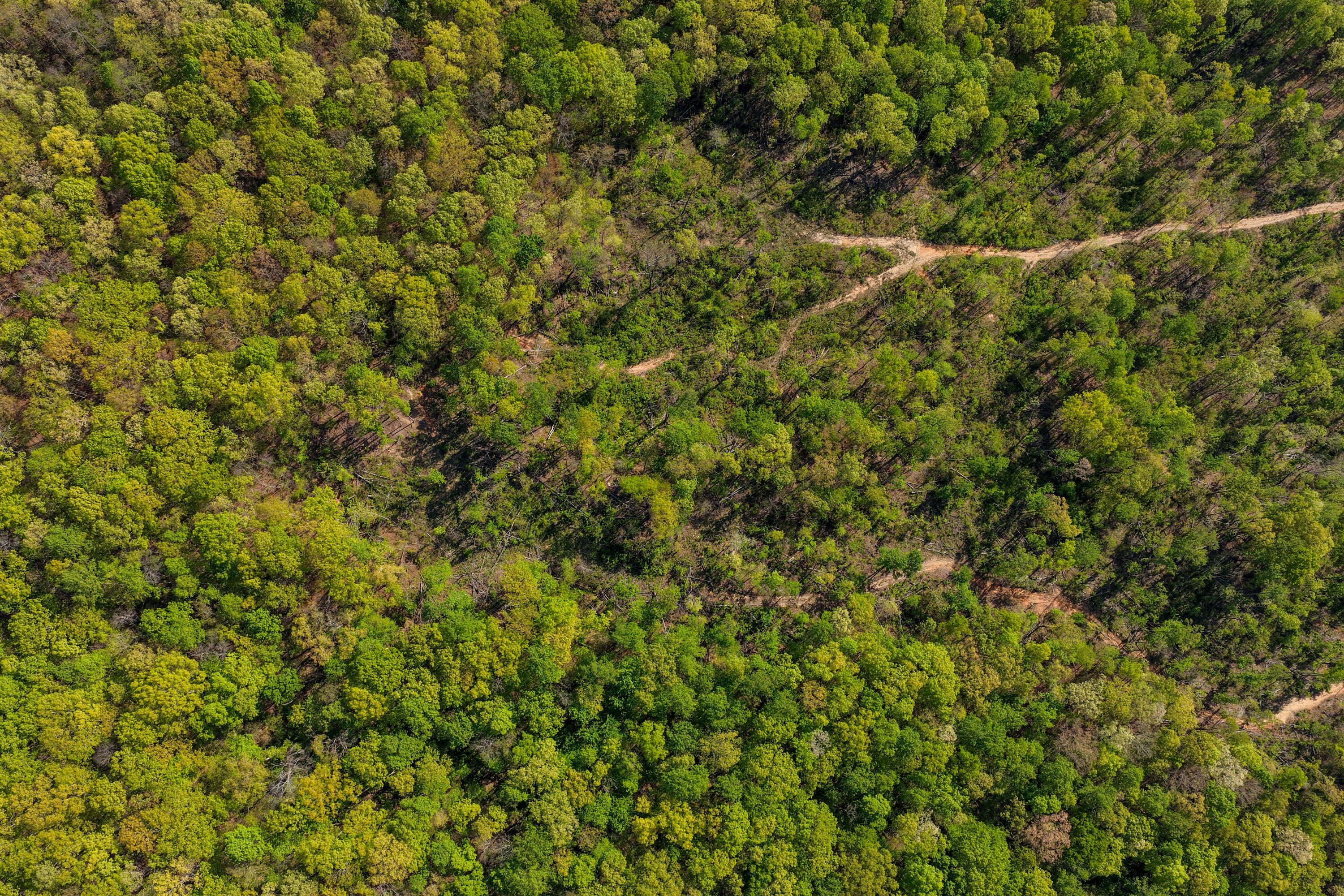 0 Valley View Highway Whitwell, TN 37397 - Photo 25 of 26 ValleyView-26