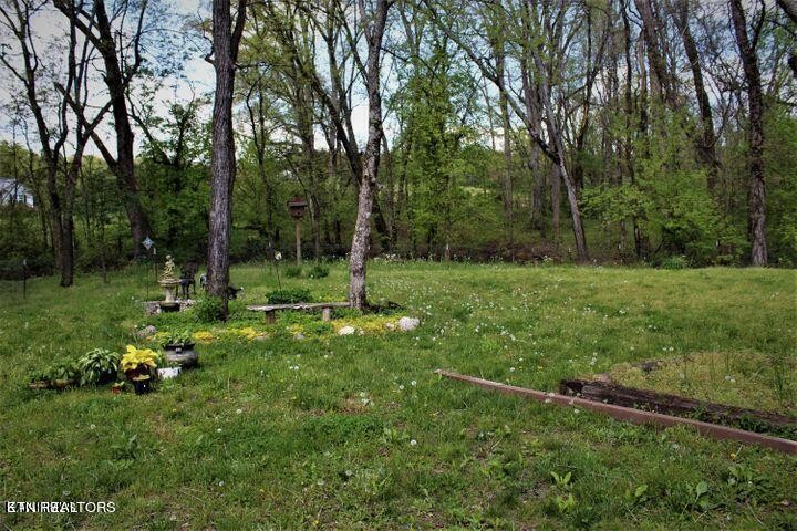 340 Brakebill Road Vonore, TN 37885 - Photo 24 of 33 a view of a field with a tree