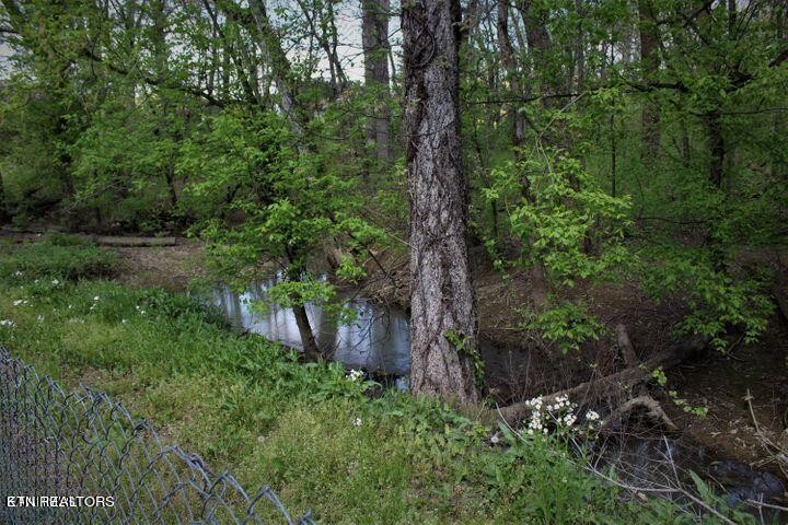340 Brakebill Road Vonore, TN 37885 - Photo 25 of 33 a view of a garden with a tree