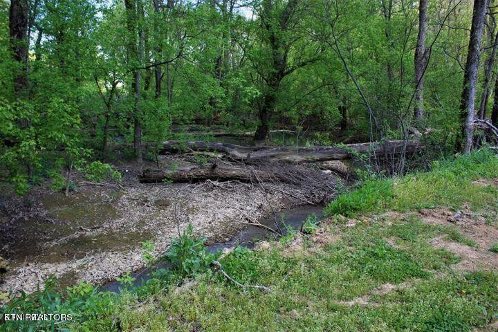 340 Brakebill Road Vonore, TN 37885 - Photo 26 of 33 a view of backyard with green space