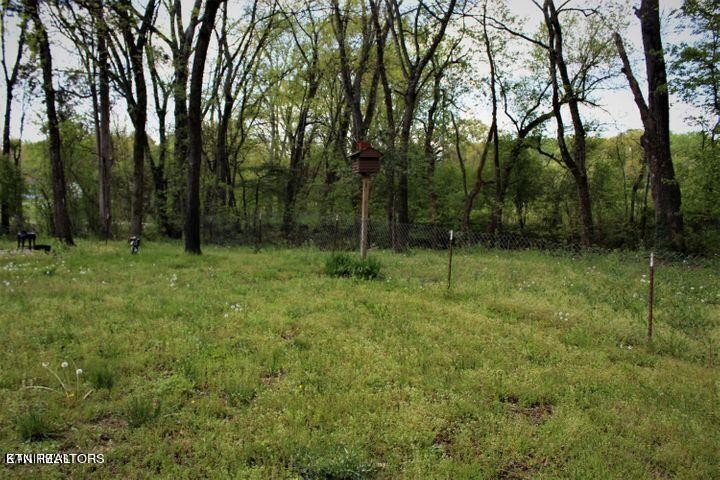 340 Brakebill Road Vonore, TN 37885 - Photo 27 of 33 a view of outdoor space with green field and trees