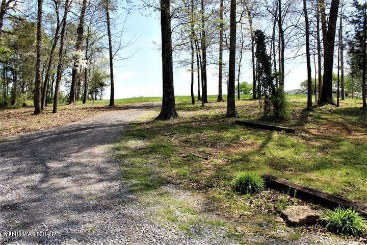 340 Brakebill Road Vonore, TN 37885 - Photo 28 of 33 a view of a tree in the middle of a yard