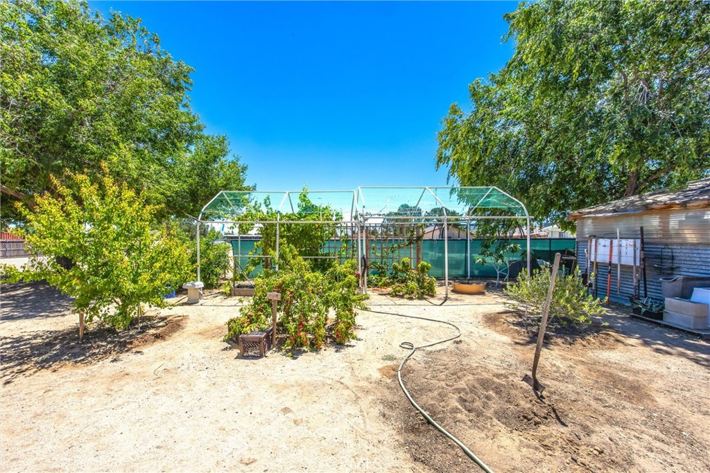15212 El Centro Road Hesperia, CA 92345 - Photo 63 of 75 Producing fruit trees and grape/berry arbor-Greenhouse on right